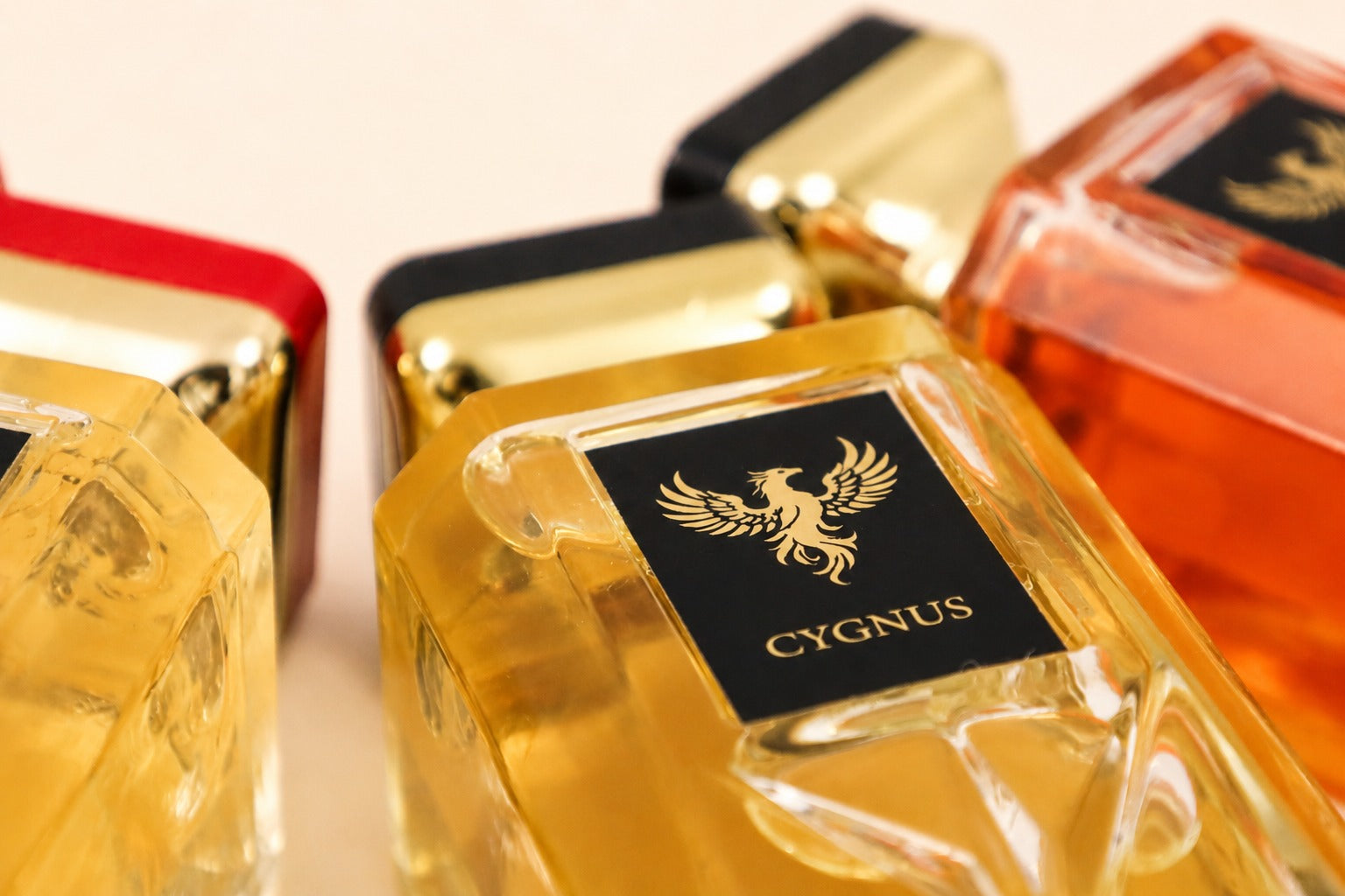 Cygnus